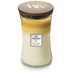 Trilogy Fruits of Summer Large Candle